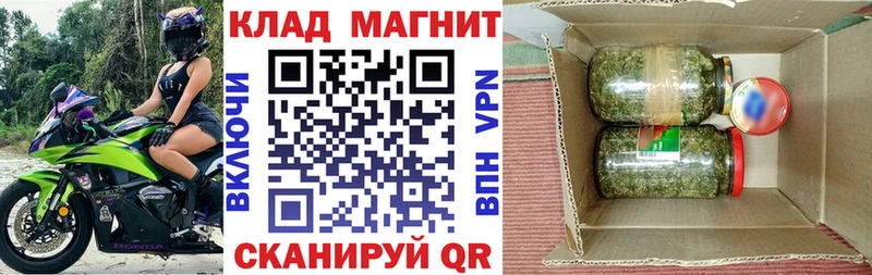Где купить Злынка Alpha PVP Конопля КОКАИН Псилоцибиновые грибы Гашиш Мефедрон