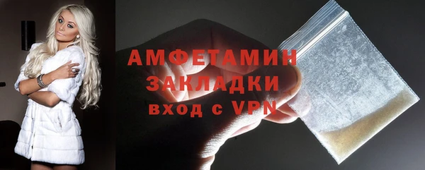 ПСИЛОЦИБИНОВЫЕ ГРИБЫ Михайлов