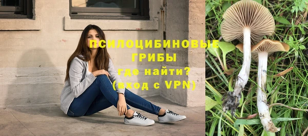 ECSTASY Аркадак