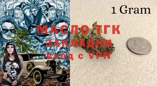 ПСИЛОЦИБИНОВЫЕ ГРИБЫ Михайлов