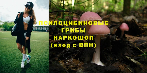 ECSTASY Аркадак