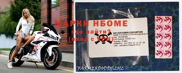 ПСИЛОЦИБИНОВЫЕ ГРИБЫ Михайлов